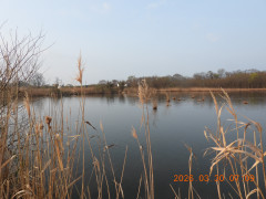 DSCN3237.JPG