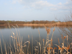 DSCN3238.JPG