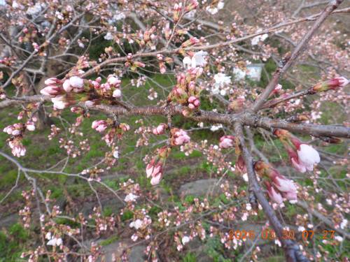 DSCN3247.JPG