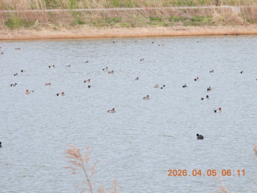 DSCN3284.JPG