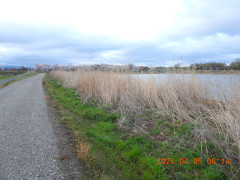 DSCN3286.JPG