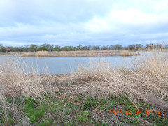 DSCN3287.JPG