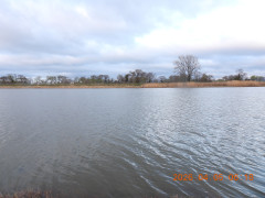 DSCN3290.JPG