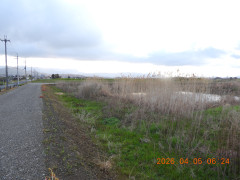 DSCN3293.JPG