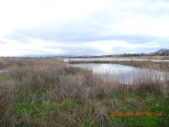 DSCN3294.JPG