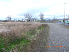 DSCN3295.JPG