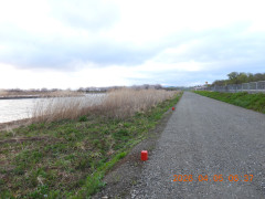 DSCN3300.JPG