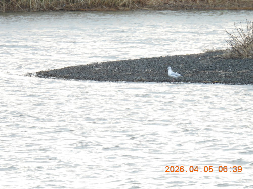 DSCN3301.JPG