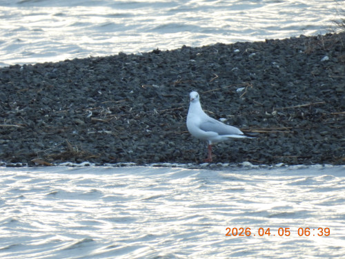 DSCN3303.JPG