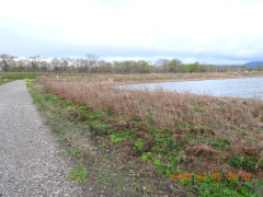 DSCN3312.JPG