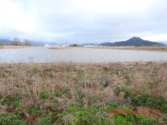 DSCN3313.JPG