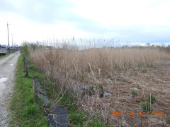 DSCN3318.JPG