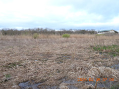 DSCN3319.JPG