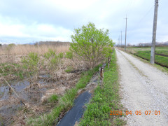DSCN3320.JPG