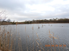 DSCN3321.JPG