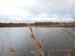 DSCN3322.JPG