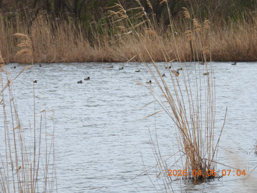 DSCN3323.JPG