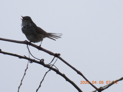 DSCN3330.JPG