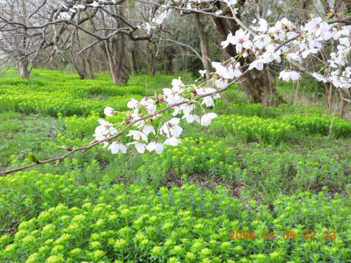 DSCN3335.JPG