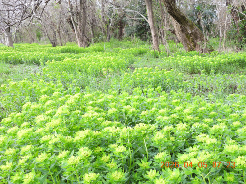 DSCN3336.JPG