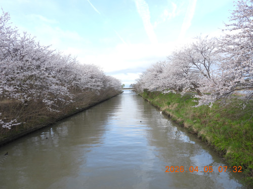 DSCN3344.JPG