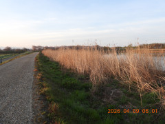 DSCN3350.JPG