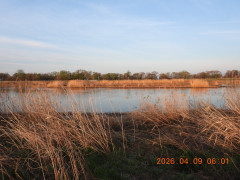 DSCN3351.JPG