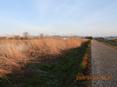 DSCN3352.JPG