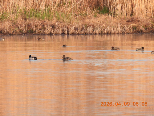 DSCN3356.JPG