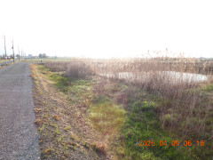 DSCN3359.JPG