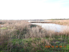 DSCN3360.JPG