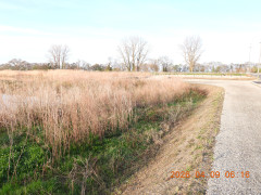 DSCN3361.JPG