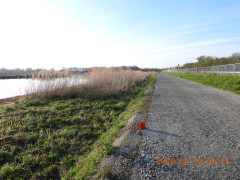 DSCN3365.JPG