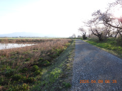 DSCN3372.JPG