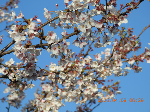 DSCN3374.JPG