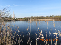 DSCN3377.JPG