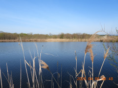 DSCN3378.JPG