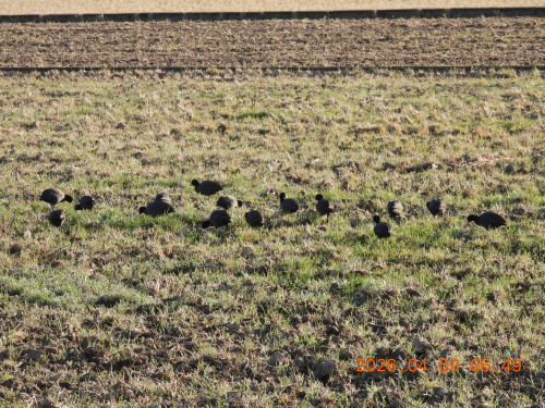 DSCN3380.JPG