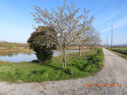 DSCN3381.JPG