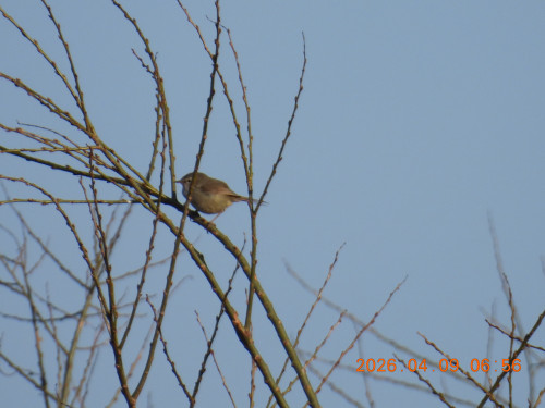 DSCN3383.JPG