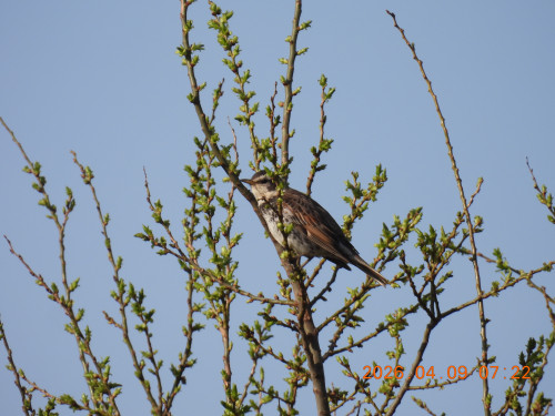 DSCN3389.JPG