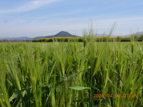DSCN3396.JPG