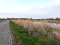 DSCN3399.JPG