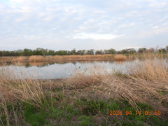 DSCN3400.JPG