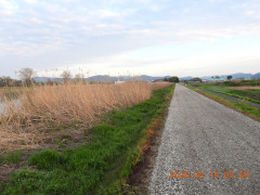 DSCN3401.JPG