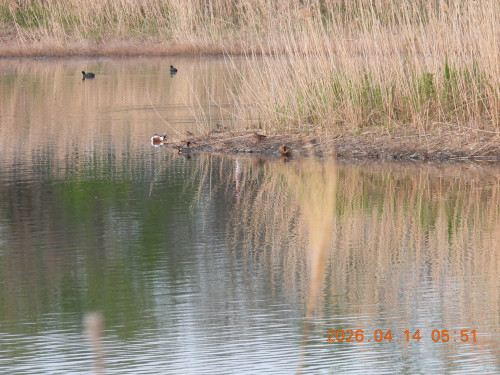 DSCN3402.JPG