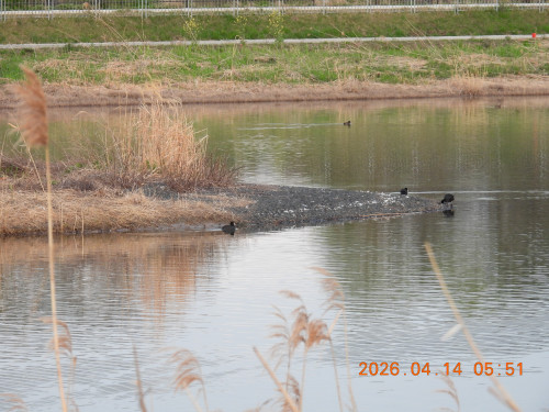 DSCN3403.JPG