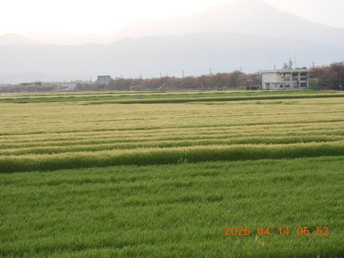 DSCN3404.JPG