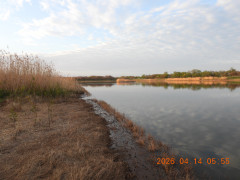 DSCN3405.JPG