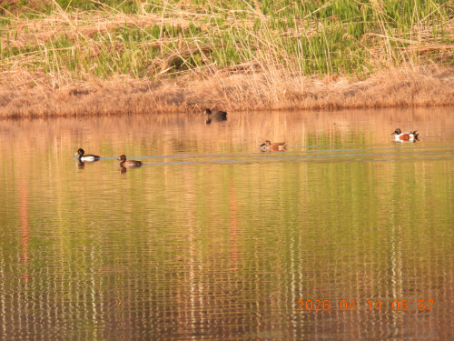 DSCN3411.JPG